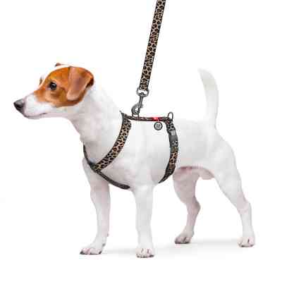 Шлея для собак WAUDOG Nylon анатомічна H-подібна з QR-паспортом "Леопард" пластиковий фастекс, M (344-4066) Вінниця