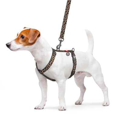 Шлей для собак WAUDOG Nylon анатомическая H-образная с QR-паспортом "Леопард" пластиковый фастекс, M (344-4066) Винница - изображение 3