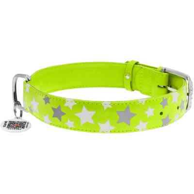 Ошейник для животных WAUDOG Glamour с QR паспортом "Звездочка" M Ш 25 мм Д 38-49 см салатовый (35875) Винница