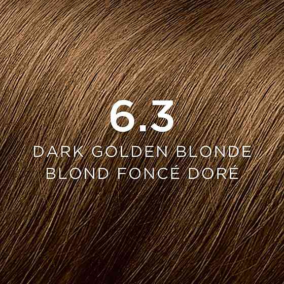 Фіто Фітоколор Безаміачна крем-фарба для волосся Phyto PhytoColor Coloration Permanente 6.3 Темно-русявий золотистий 112 мл Дніпро