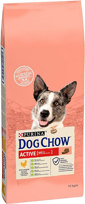 Сухий корм Dog Chow Active Adult для дорослих активних і робочих собак з куркою, 14 кг Вінниця - фото 1