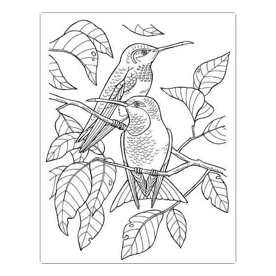 Велика книга розмальовок "Дівчата та квіти" 1736004, 64 сторінки Вінниця