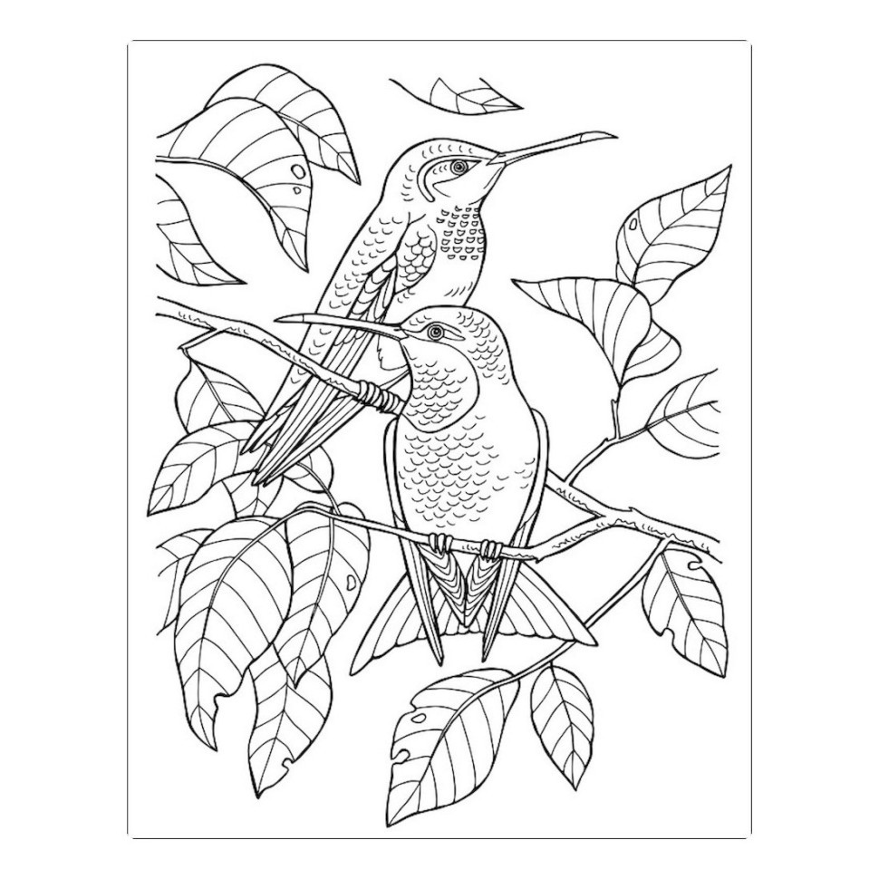 Большая книга раскрасок 