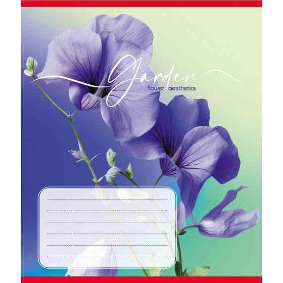 Тетрадь ученическая 