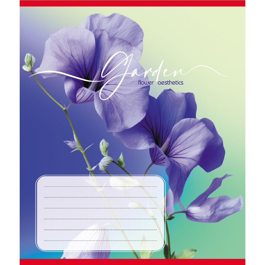 Тетрадь ученическая 