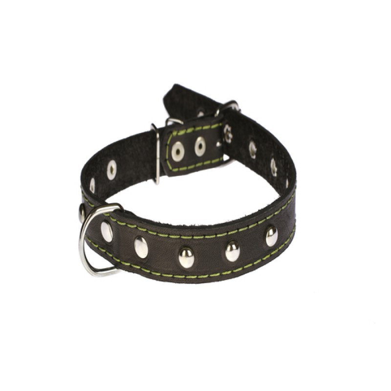 Нашийник 213 20мм "Класик" шкіра прикрашений Вінниця - фото 1