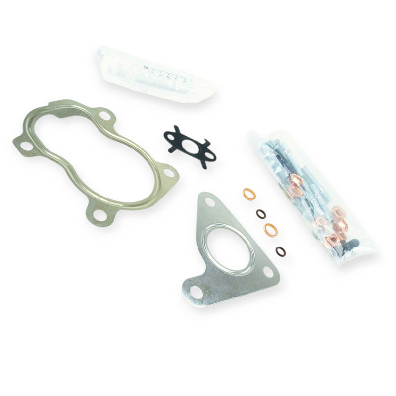 Прокладка Рено Майстер 1.9DCI 98 - комплект турбіни Мукачево - фото 1