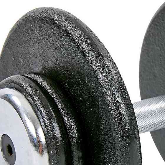 Гантель 15 кг цільна професійна RECORD-7231-15 Київ