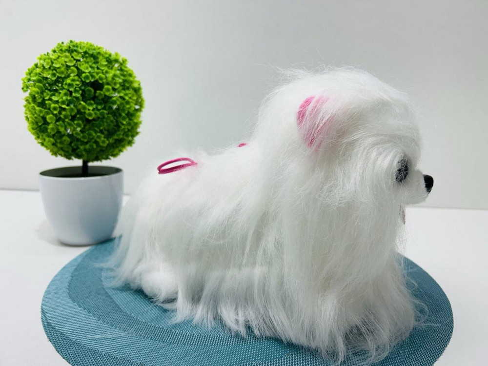 Собачка інтерактивна на пульту Ши-тцу з повідцем сенсорна музика та звуки українською гавкає Біла (M 6212 I UA) Чернигов - изображение 2