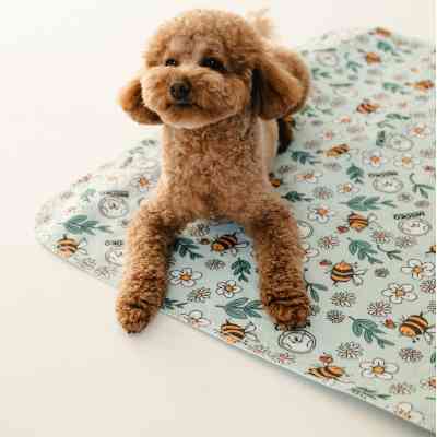 Пеленки для собак MISOKO&CO Многоразовая с пчелами 80х140 см 2 шт голубая (HAINMSK70049) Винница