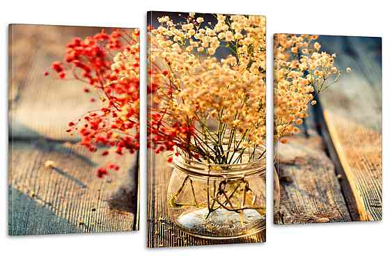 Модульная картина в гостиную / спальню  Декоративна Гіпсофіла Art-655_3 Киев