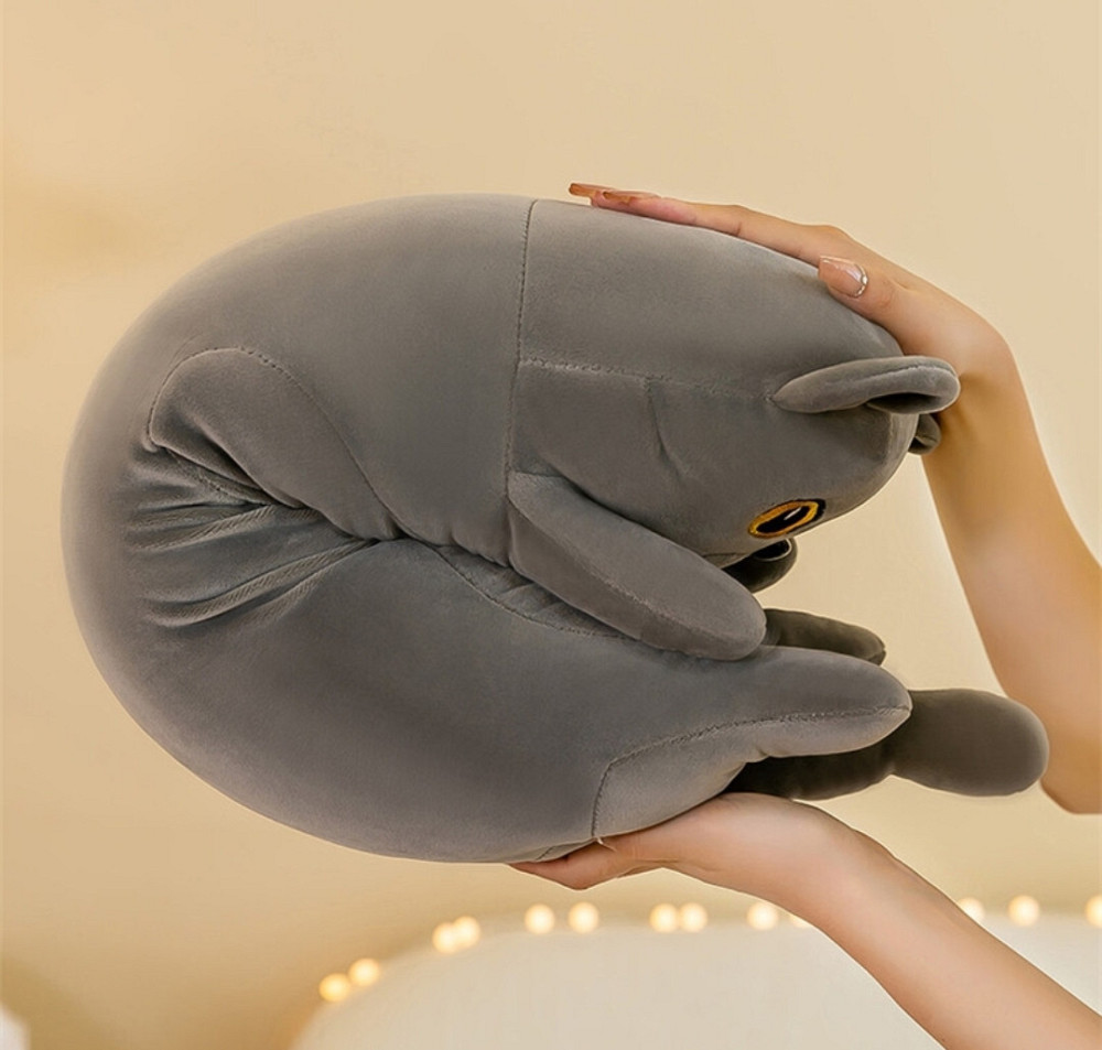 Британский Кот батон 70 см Серый Киев - изображение 4