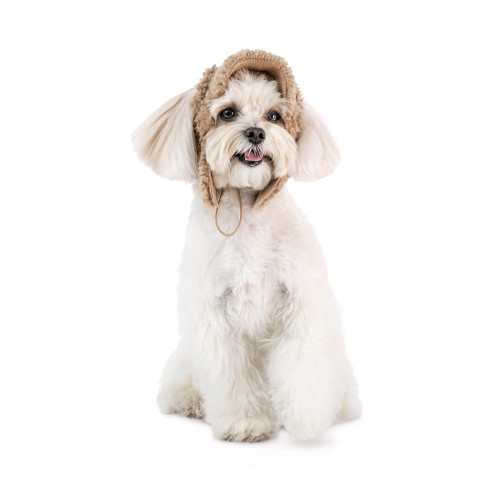 Шапка Valley Pet Fashion для собак, розмір S бежева Київ - фото 2