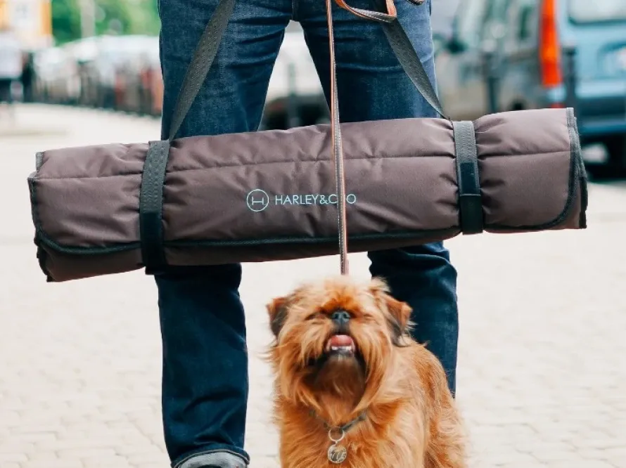 Килимок лежак для собак на прогулянці Travel Roll Up Harley and Cho Brown Одеса - фото 10