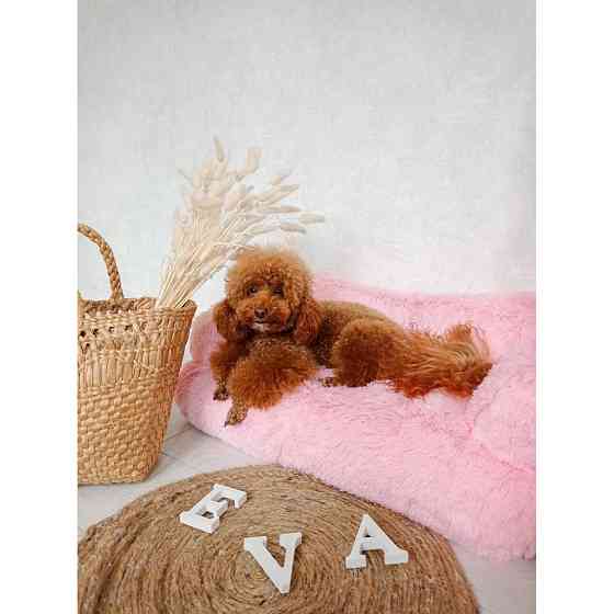 Хутряний диван лежак для собак і кішок спальне місце для тварин знімни Incor рожевий 10079 M (66х37х33) Київ