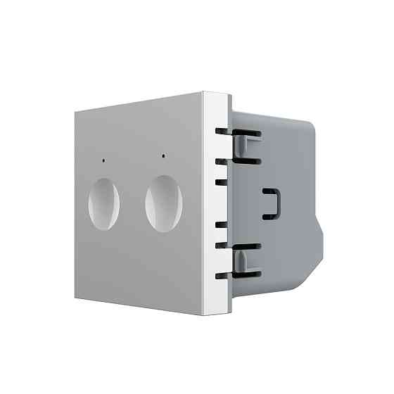 Сенсорний вимикач LIVOLO Sense, 2-сенсорний, сірий, 5А 230В, без нейтралі, модуль без рамки (VL-FC2-2IP) Коломия