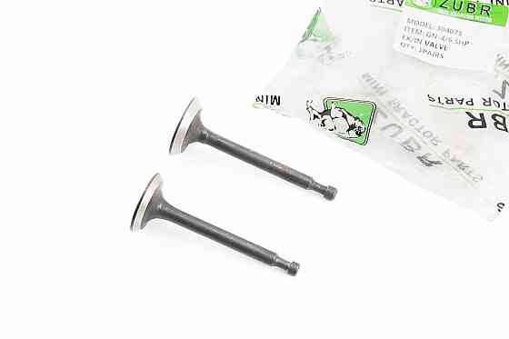 Клапан впускний (h-64; D-25; d-5,45), випускний (h-62; D-24; d-5,45) к-кт 2шт 168F Киев