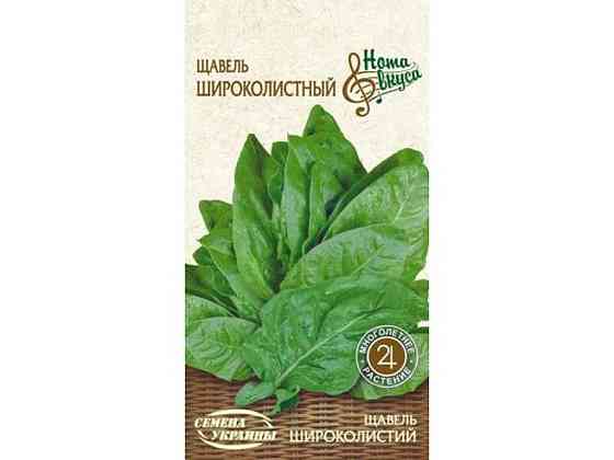 Щавель ШИРОКОЛИСТНЫЙ НВ 2г (20 пачок) (рс) ТМ СЕМЕНА УКРАИНЫ   Solmir Киев
