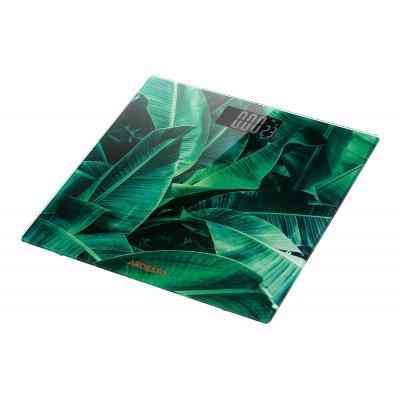 Весы напольные Ardesto SCB-965LEAVES Винница