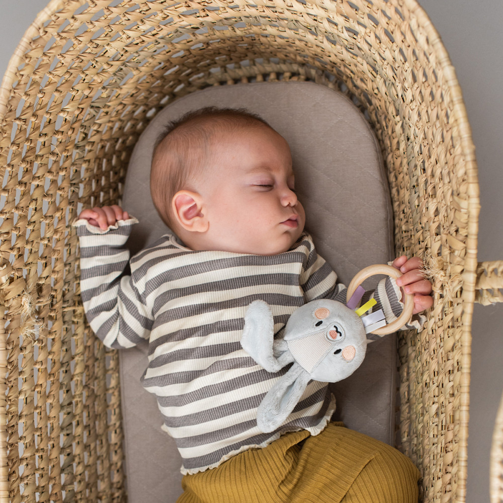 Брязкальце колекції Садочок у місті – Кролик Райлі Дніпро - фото 9