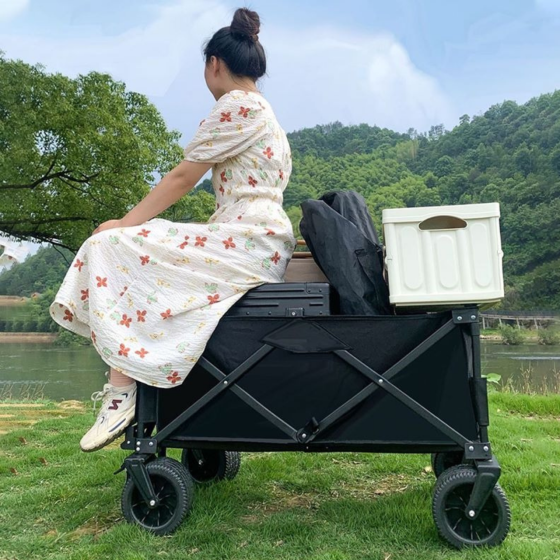 Комплект тележка кемпинговая с столешницей 87х54 см складные для перевозки, универсальная для походов за продуктами,на90 л Каменец-Подольский