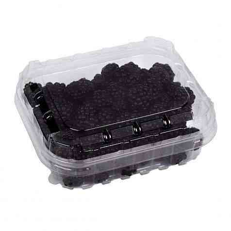 Пластиковый судок ПЭТ с крышкой для упаковки ягод 500 грамм TL7 Павлоград