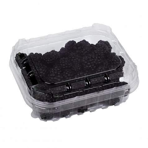 Пластиковый судок ПЭТ с крышкой для упаковки ягод 500 грамм TL7 Павлоград - изображение 1