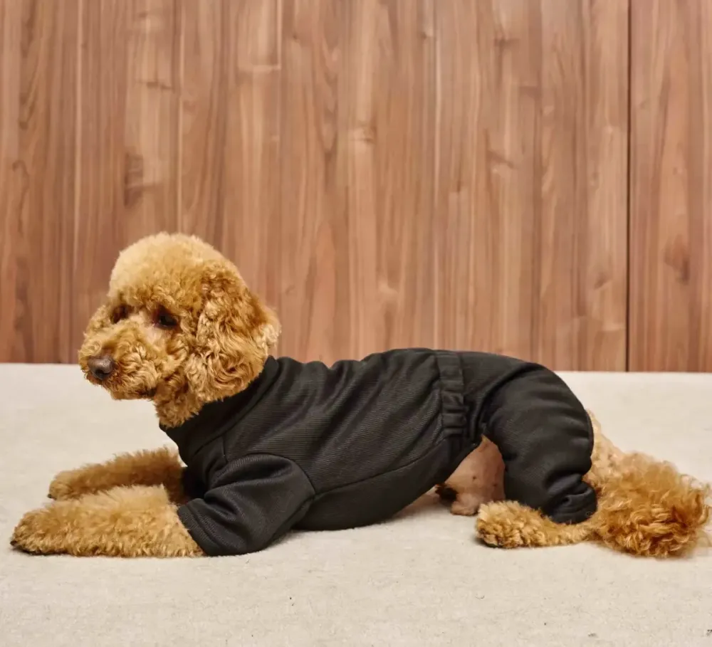 Костюм для собак трикотажный в рубчик Dogs Bomba утепленный комбинезон весна осень 5, Черный Одесса - изображение 5