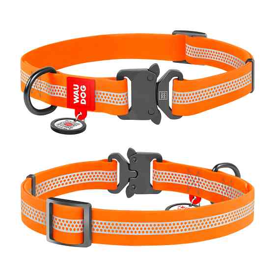 Нашийник для собак водостійкий WAUDOG Waterproof QR-паспортом, світловідбиваючий, металева пряж Коломыя