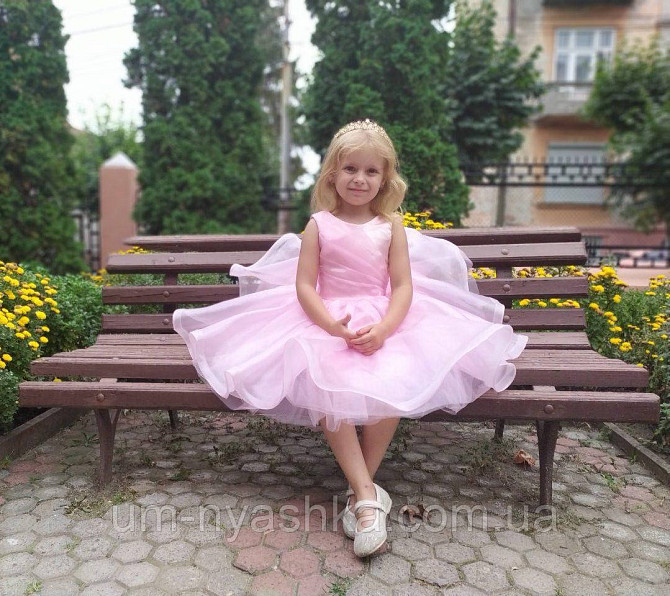 Рожеве ошатне пишне плаття "Еліс" Кривий Ріг - фото 2