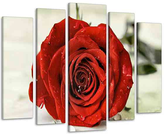 Модульна картина Троянда Art-27_5 Київ