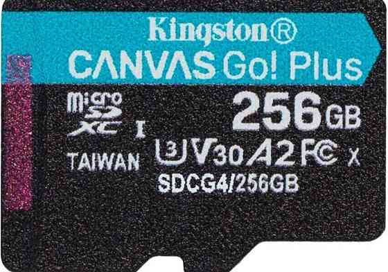 Карта памяти Kingston Canvas Go! Plus microSDXC 256GB UHS-I U3 V30. Киев