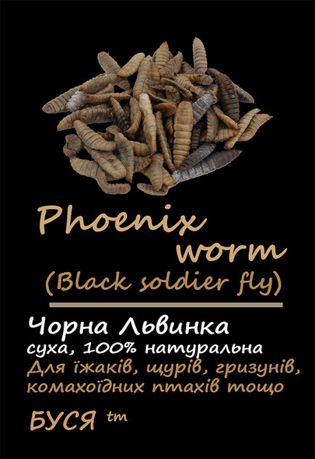 Чорна Левинка "Phoenix Worm" тм Буся. Корм для їжачок, птахів, гризунів, рептилій. 25г Зміїв - фото 1
