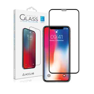 Скло захисне ACCLAB Full Glue ESD Apple Iphone X/XS/11 Pro (1283126532139) Вінниця