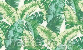 Шпалери метрові вінілові на флізеліні Rasch Clas листя пальми папороті зелені салатові Київ - фото 4