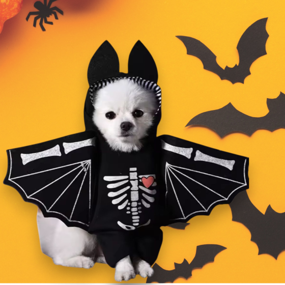 Косплей для собак і котів Кажан S на Хелловін чорний Київ