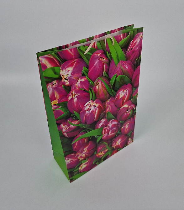 Гиганты вертикальные(30х42х12)(артGV-005) (12 шт) Харьков - изображение 1