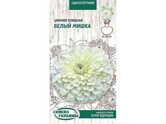 Цинія Витончена Білий Ведмедик ОД 0,5 г (10 пачок) ТМ СЕМЕНА УКРАЇНИ Київ