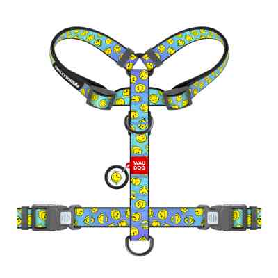 Шлей для собак WAUDOG Nylon анатомічна H-подібна з QR-паспортом "Смайли на блакитному" пластиковий фастекс, XL (346-0182) Винница