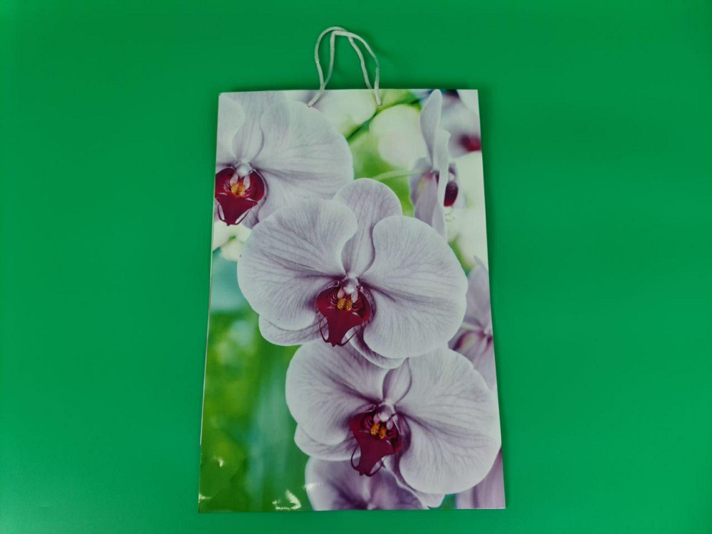 Пакет бумажный гигант вертиркальный (30х42х12)(артGV-078) (12 шт) Харьков - изображение 4