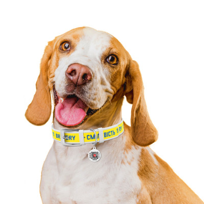 Ошейник для животных WAUDOG Design с QR паспортом "Смелость" Ш 25 мм Д 38-49 см белый (3605-0231-15) Винница - изображение 4