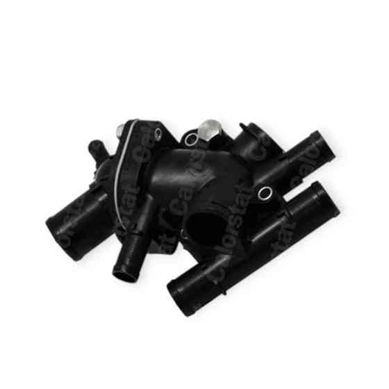 Термостат Kangoo 1.9D (1997-) Renault Мукачево