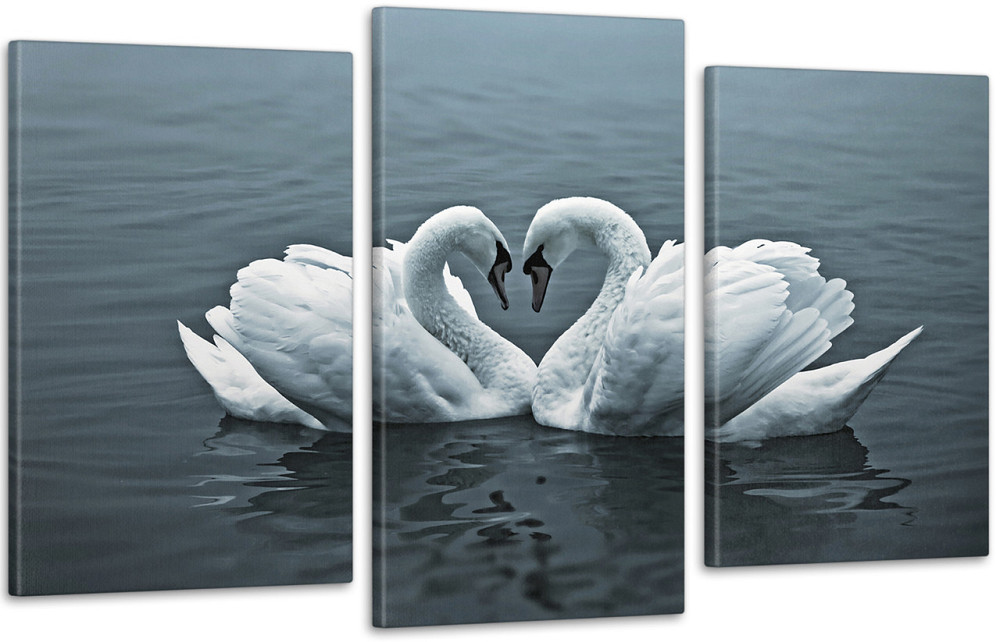 Модульная картина Лебеди Art-112_3 100x150 см Киев - изображение 1