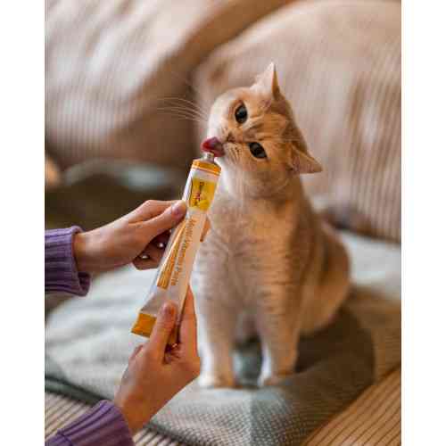 Витамины GimCat Every Day мультивитаминная паста для кошек для улучшения иммунитета 200 г Киев