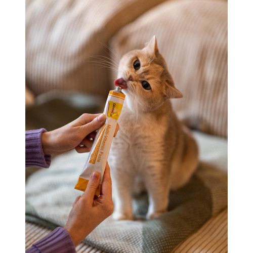 Витамины GimCat Every Day мультивитаминная паста для кошек для улучшения иммунитета 200 г Киев - изображение 5
