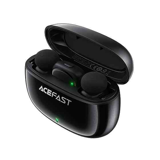 Беспроводная микрофонная система ACEFAST R2 dual-mic (Type-C) Black Одесса