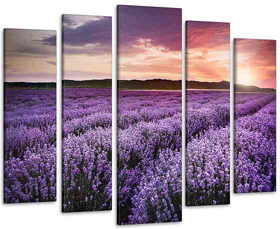 Модульна картина Полі Лаванда Art-174_5 Київ