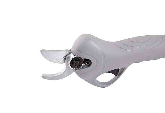 MASTERTOOL Секатор акумуляторний MASTERTOOL HQ 2x16.8V Li-ion зарядний пристрій кейс із аксесуа Коломия