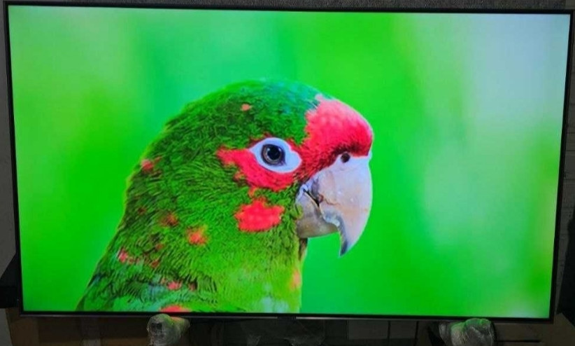 Телевизор Безрамный: 65