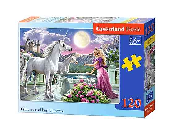 Пазлы Castorland 120 midi, шт Київ